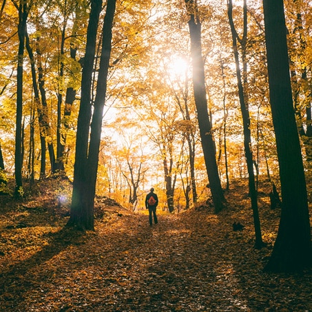 Top 5 Best Places to See the Michigan Fall Colors