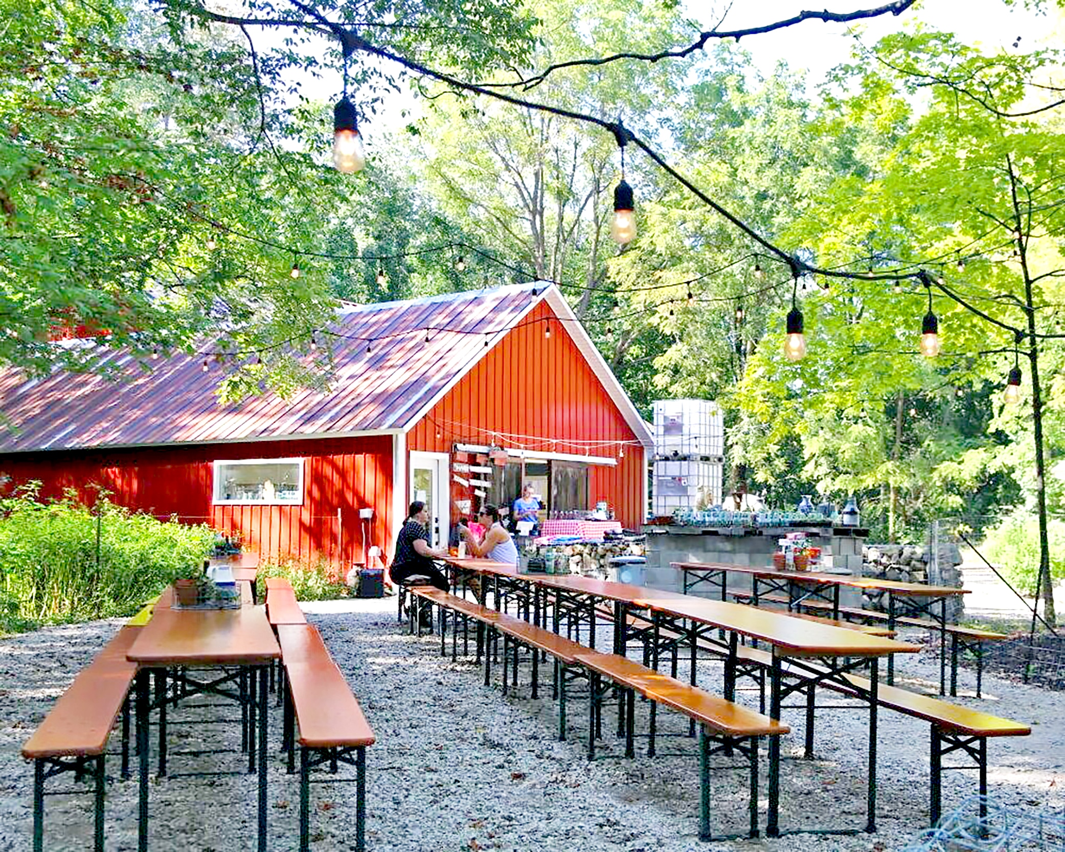 View from outside Farmhaus Cider Co. in Hudsonville and enjoying Fall activities in Grand Rapids. 