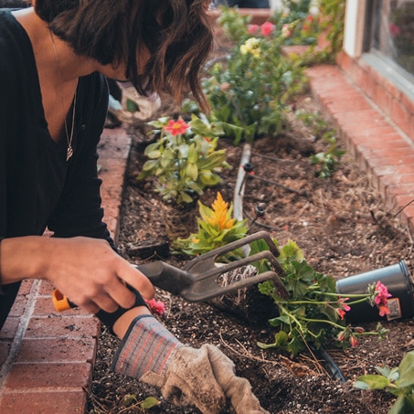 Home Owner’s Guide to Gardening