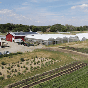 Grand Rapids Local Business Spotlight | Green Wagon Farm