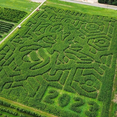 2023 corn maze