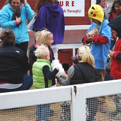 Kids at a petting zoo popup at an apple orchard 