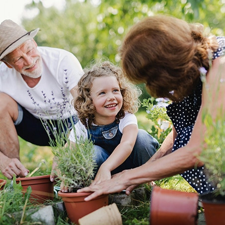 USDA Eligibility Map