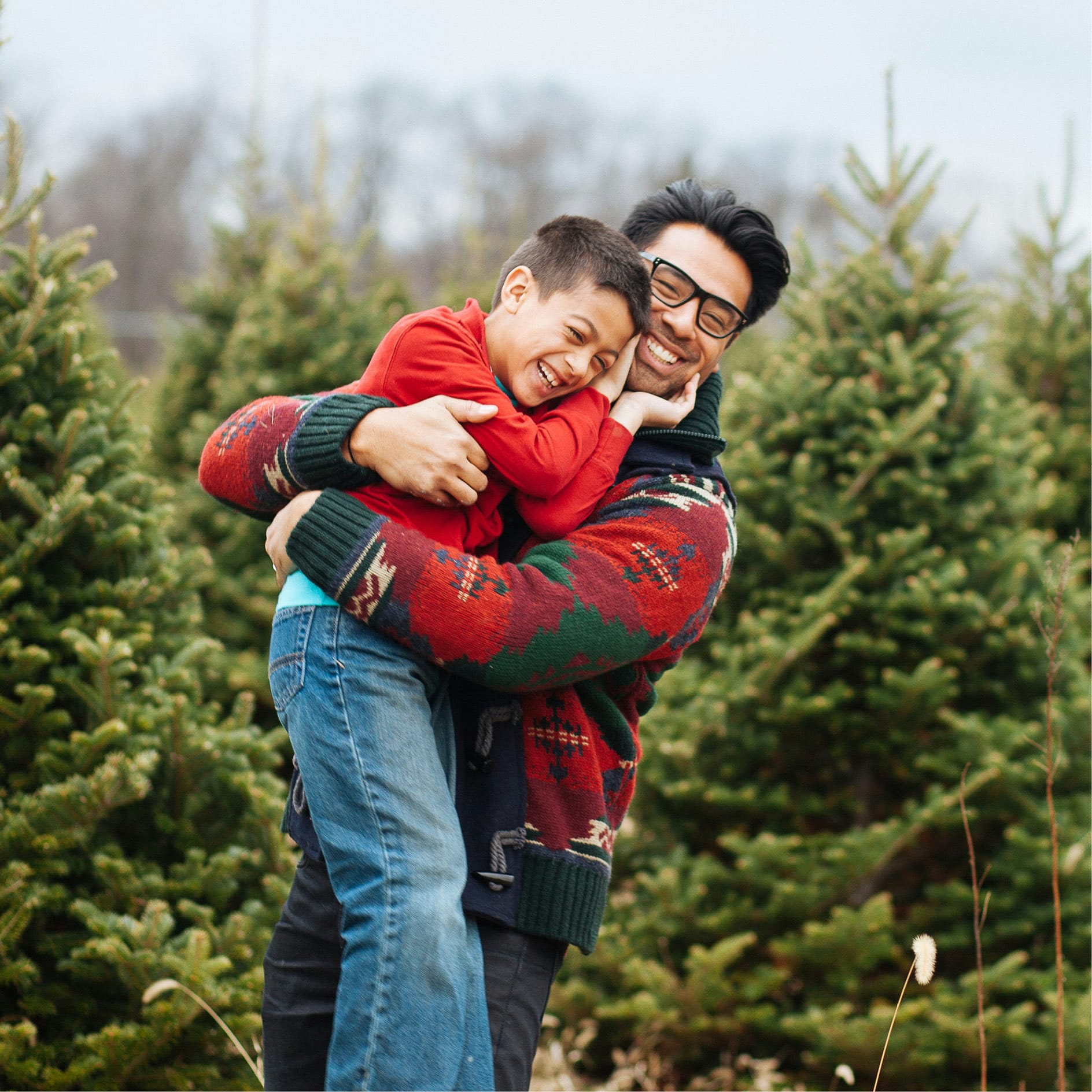 5 Best West Michigan Christmas Tree Farms