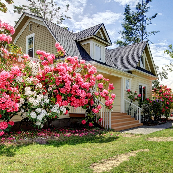 Neighborhood News & Market Insights — Spring 2026